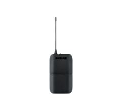 Shure BLX1288E/SM58 Kablosuz El Mikrofonu ve Gitar Bodypack Set