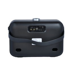 TALKBAG TB-100G 120W UHF EL TELSİZ MİKROFONLU TAŞINABİLİR HOPARLÖR YEŞİL